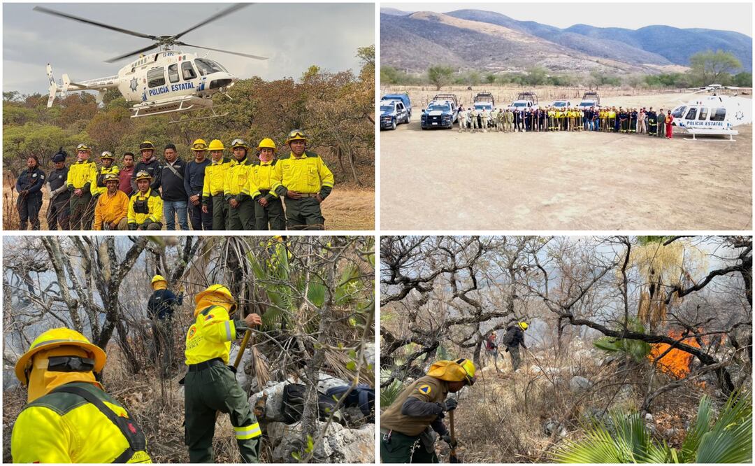 Coordinación Interinstitucional logra sofocar incendio forestal sin daños a población en Cohetzala | Foto: Gobierno de Puebla.
