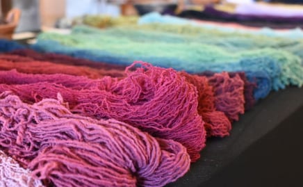 Conoce cómo es la grana cochinilla de Puebla, el insecto color rosa Barbie