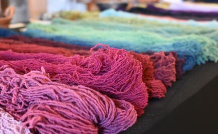 Conoce cómo es la grana cochinilla de Puebla, el insecto color rosa Barbie