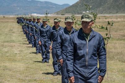 Sedena abre vacantes para mexicanos con licenciatura