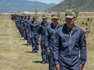 Sedena abre vacantes para mexicanos con licenciatura