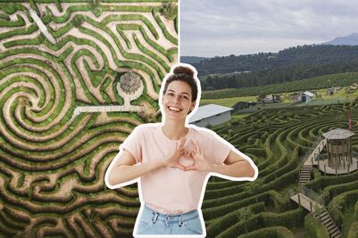 Conoce el laberinto más grande de México, está en Puebla