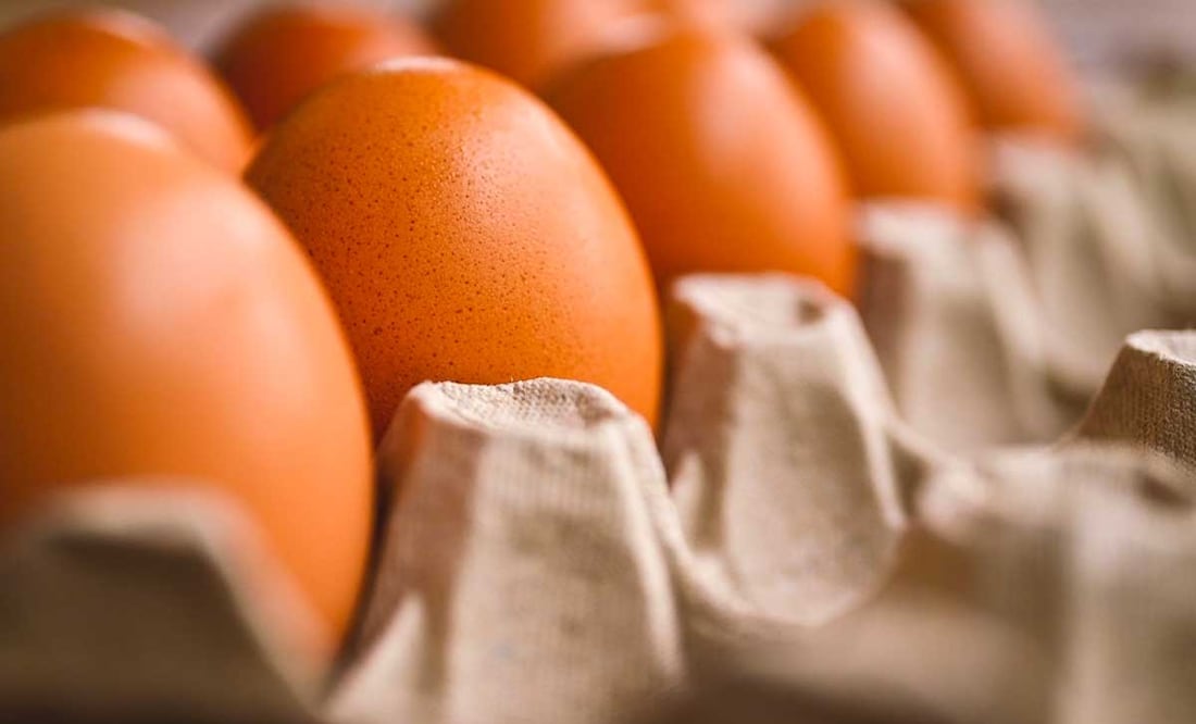 Foto: Archivo El Universal