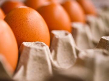 Productores de huevo de Tehuacán padecen los bloqueos carreteros en Campeche