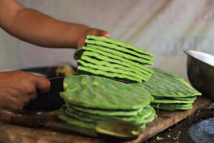 Imperdible la Feria del Nopal 2023 en Tlaxcalancingo, aquí toda la info