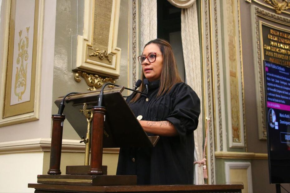 Diputados locales propusieron regular los hoteles para mascotas | Fotos Congreso del Estado de Puebla