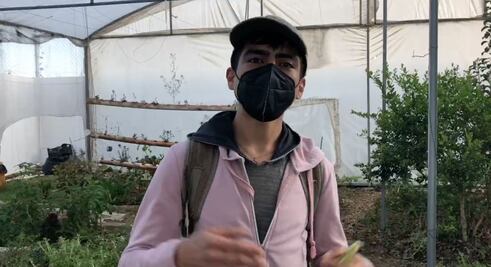 Juan Diego y el invernadero orgánico de la colonia Solidaridad