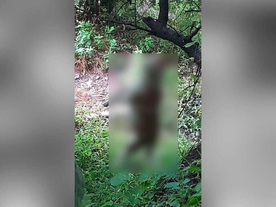 Foto: Redes Sociales