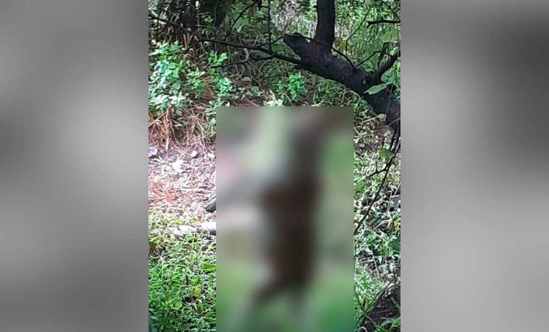 Foto: Redes Sociales