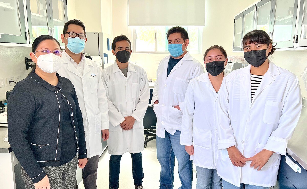 Científicos de la BUAP desarrollan vacuna contra el dengue