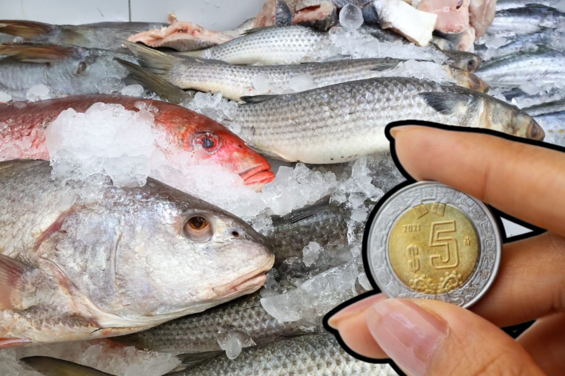 Los pescados y mariscos son muy consumidos en Cuaresma | Foto: EsImagen / Freepik