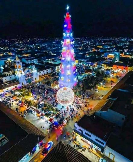 5 árboles monumentales para visitar en Puebla