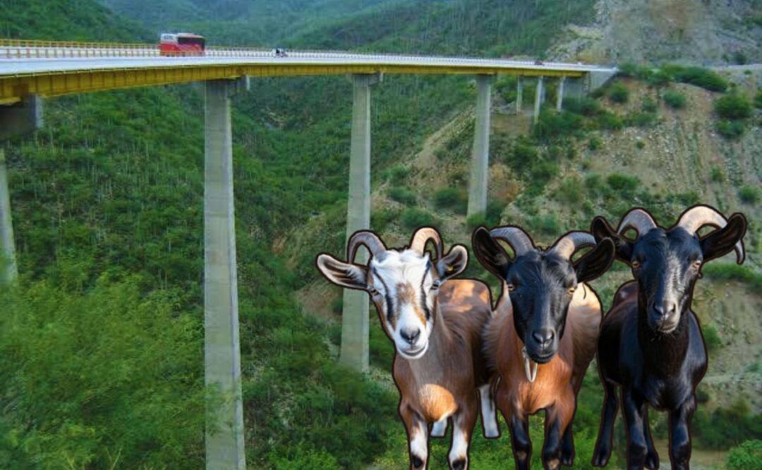 Dicen que en este puente aparecen unos extraños chivos | Foto Facebook Leyendas de Oaxaca