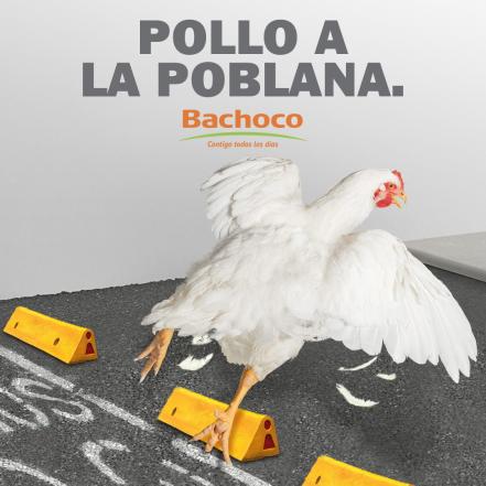 Bachoco lo vuelve a hacer… se sube al trend de Mi Bebito Fiu Fiu