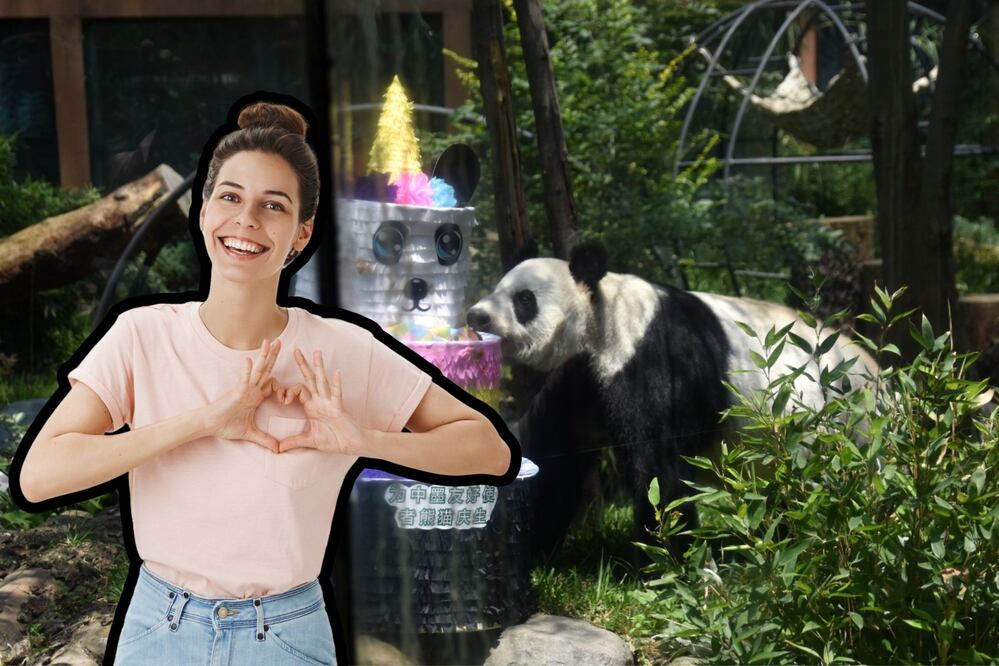 La panda gigante Xin Xin está en el Zoológico de Chapultepec | Foto: EsImagen / Freepik