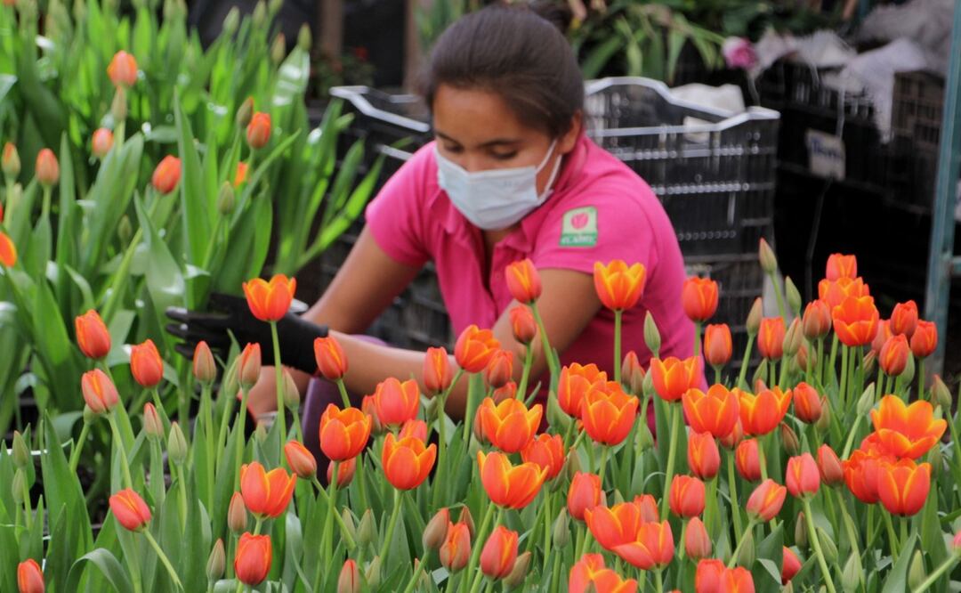 FOTO: Agencia Es Imagen para El Universal Puebla