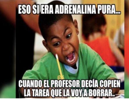 Día del Maestro: frases típicas de profe y memes