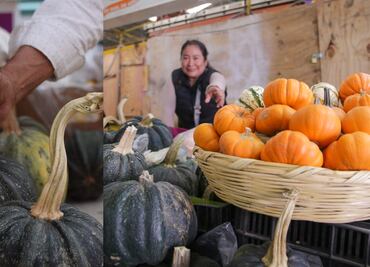 Esta es la producción de calabazas en Puebla para el Día de Muertos