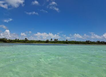 Venden isla en la Riviera Maya, si eres poblano y te interesa, estos son los requisitos