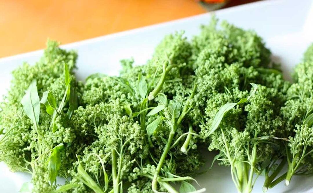 Foto: Archivo El Universal