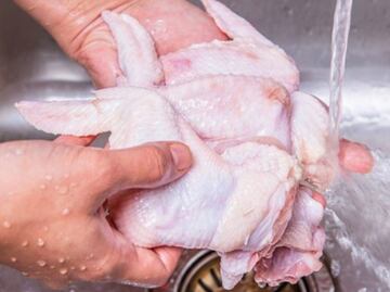 ¿Por qué no debo lavar el pollo?