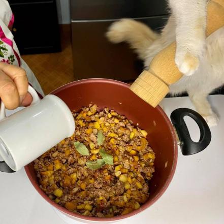 Fygo, el gato chef y su receta de chiles en nogada... meowgada 