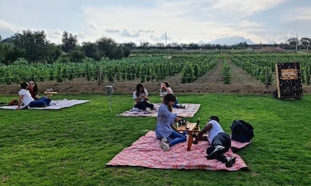 Entreerres. ¿Cómo llegar al viñedo poblano ubicado al pie del Popocatépetl?