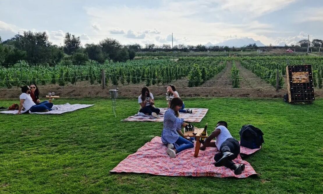 Entreerres se encuentra a dos horas de CDMX. Foto: Entreerres viñedos / Instagram