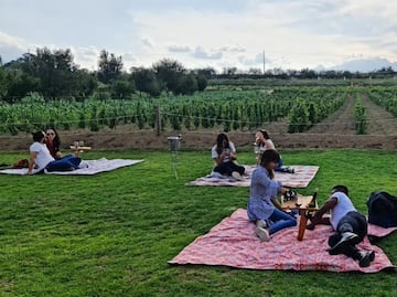 Entreerres. ¿Cómo llegar al viñedo poblano ubicado al pie del Popocatépetl?