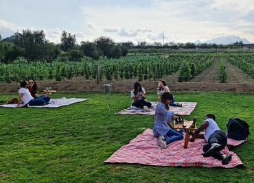 Entreerres. ¿Cómo llegar al viñedo poblano ubicado al pie del Popocatépetl?
