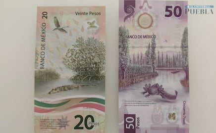Bicentenario vs ajolote. Cuál billete es el más difícil de conseguir