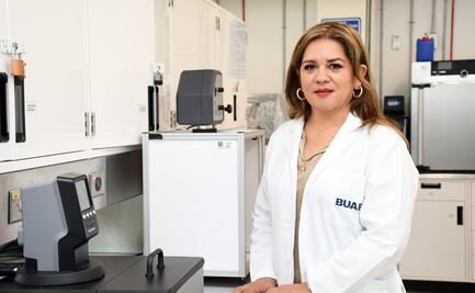 Desarrollan productos con compuestos bioactivos a partir de la planta Tecoma stans, para prevenir diabetes