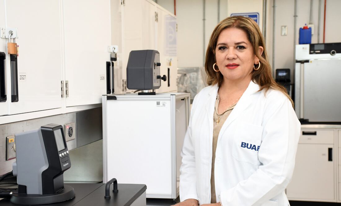 Desarrollan productos con compuestos bioactivos a partir de la planta Tecoma stans, para prevenir diabetes | Foto: BUAP.