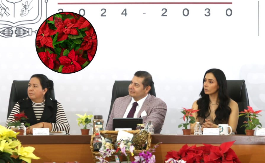 Gobierno de Puebla impulsa producción de nochebuena como motor económico y turístico
