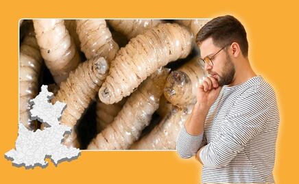 Detectan 17 casos de gusano barrenador en 3 municipios de Puebla