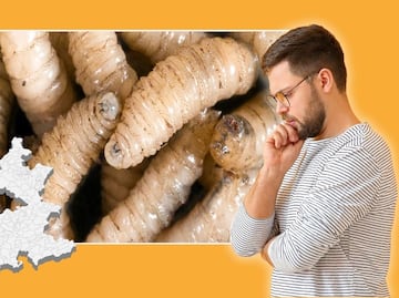 Detectan 17 casos de gusano barrenador en 3 municipios de Puebla