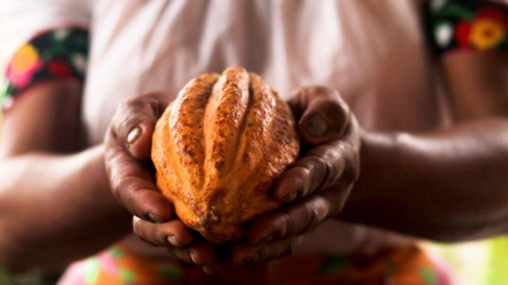 Además de poder degustar una gran variedad de chocolates, los asistentes podrán conocer a los productores locales, participar en actividades interactivas y descubrir nuevas tendencias culinarias. 


Foto: Producción El Universal Puebla