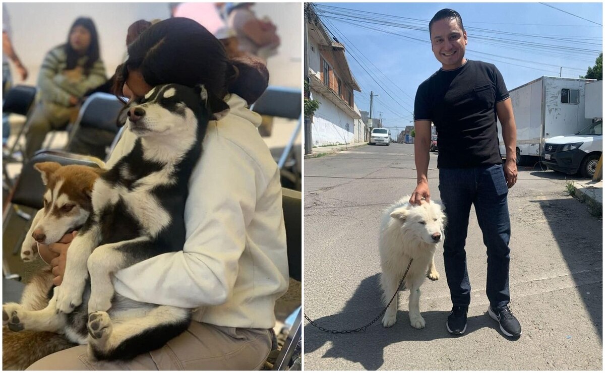 Acerca Gobierno de la Ciudad servicios de bienestar animal a familias de Miravalle