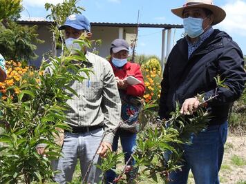 Capacitan a productores de la Malinche sobre la preservación del nogal