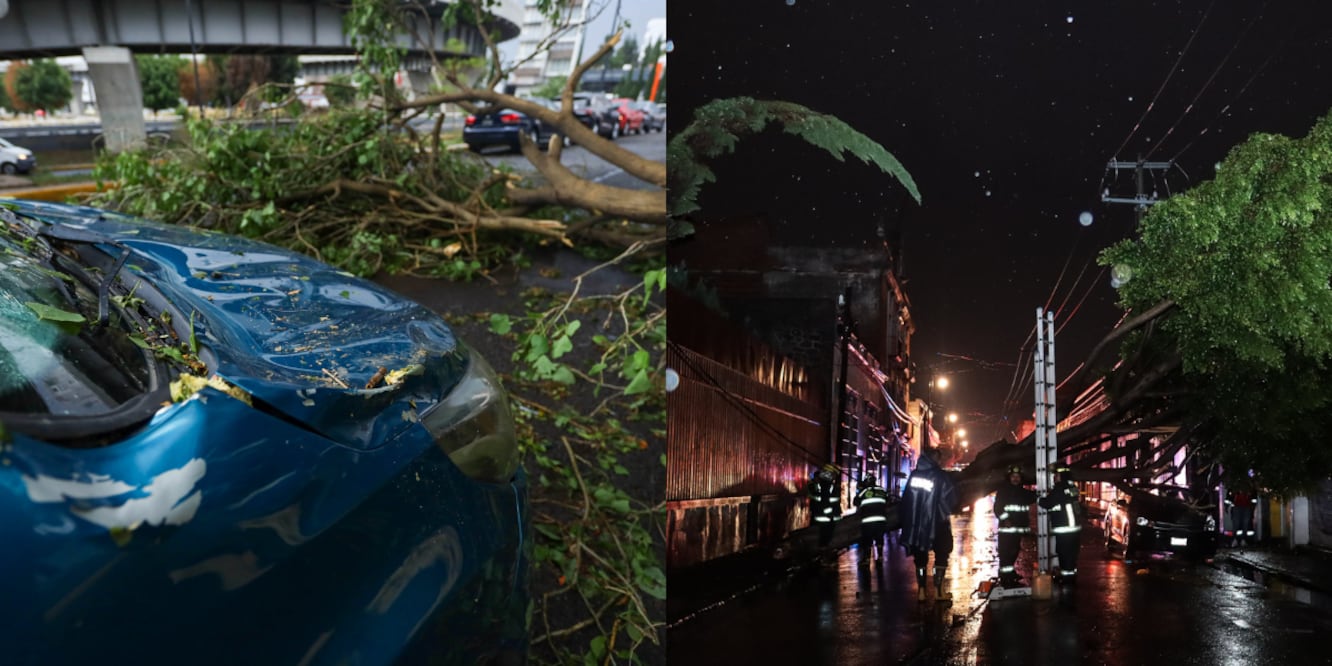 Árboles caídos en la ciudad de Puebla / Foto EsImagen