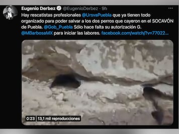 Eugenio Derbez se une al llamado de rescate de los perritos que cayeron al socavón de Zacatepec