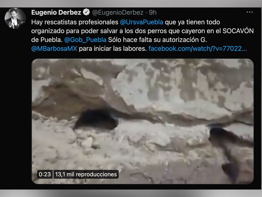 Eugenio Derbez se une al llamado de rescate de los perritos que cayeron al socavón de Zacatepec