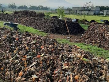 Cómo hacer composta: puedes usar uñas y cabello