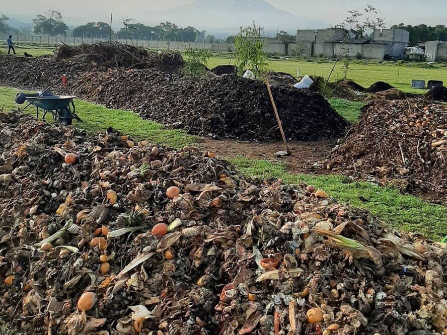 Foto: Hagamos Composta