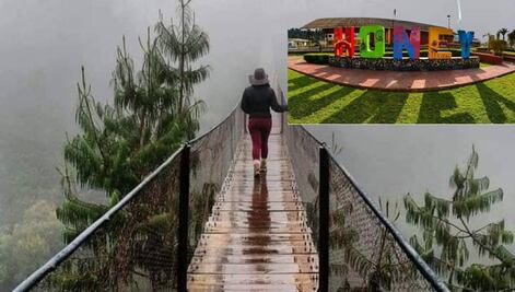 Así es el desafiante puente colgante de Honey, conócelo