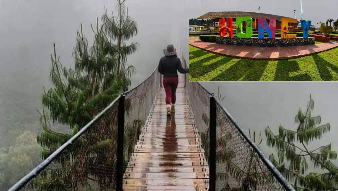 En Honey hay un increíble puente colgante rodeado de naturaleza | Foto: Tours de México