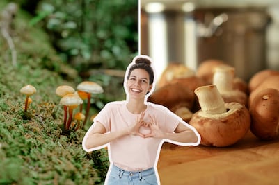 Feria del hongo 2025 en Puebla: fechas, actividades y cómo llegar