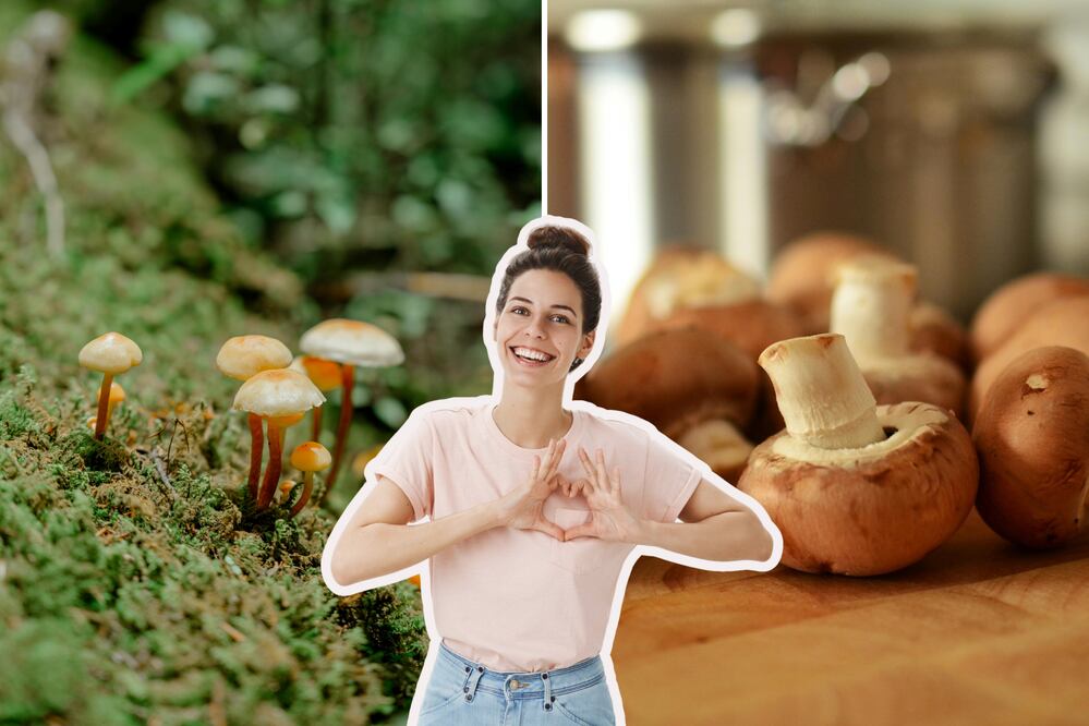 La Feria del hongo 2025 es una de las festividades más esperadas del verano | Foto: Pexels / Freepik