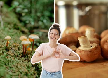 Feria del hongo 2025 en Puebla: fechas, actividades y cómo llegar