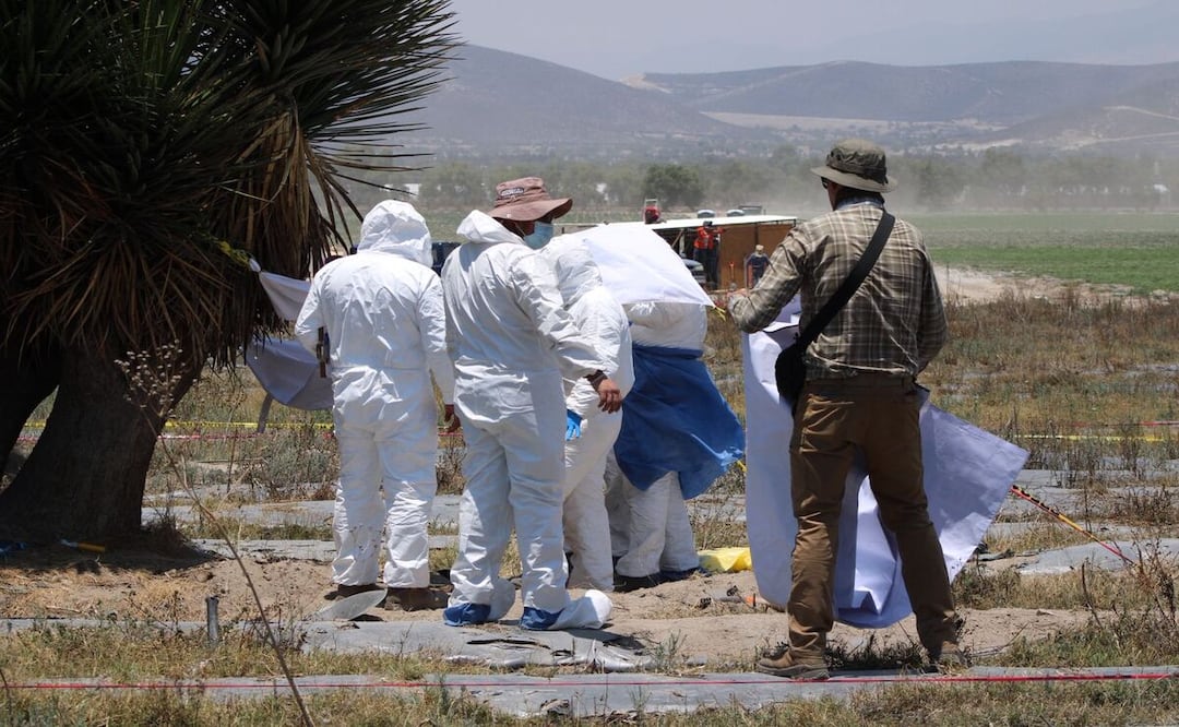 La Comisión de Búsqueda y FGE encabezan los trabajos de detección con el grupo de caninos | Fotos: Gobierno del Estado